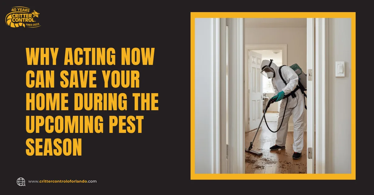 Why Acting Now Can Save Your Home During the Upcoming Pest Season