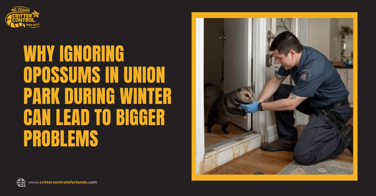 Wildlife Removal in Union Park