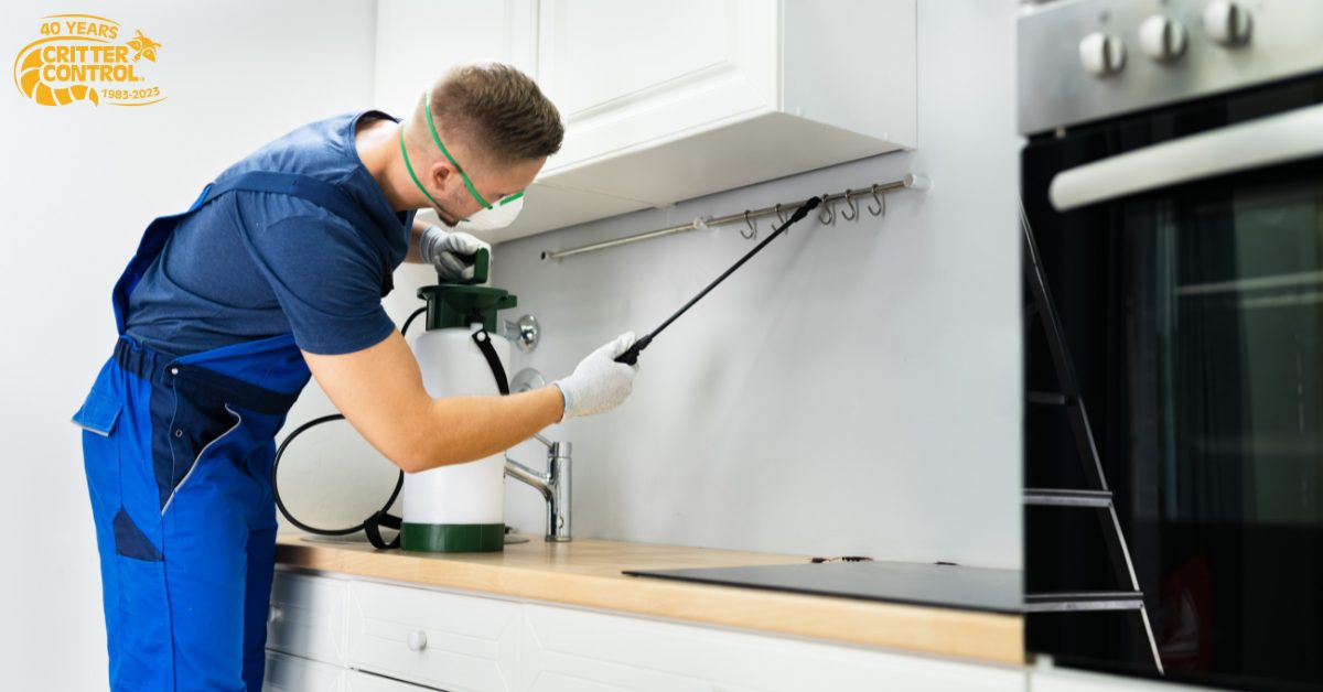 Pest control in Orlando