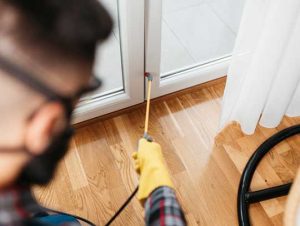 How to Choose the Right Pest Control Company That Fits Your Needs